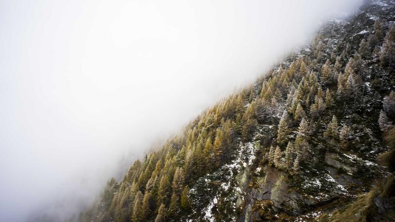 巨棒外交核心业务战略会议场景